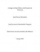 Estructura-socioeconómica de México