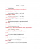 UNIDAD 1 – Textil 1