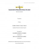 PROGRAMA DE ADMINISTRACIÓN EN SALUD OCUPACIONAL