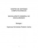 Biologia. Las relaciones interdisciplinarias