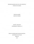 DESCRIPCION NEUROLOGICA DEL GESTO DEPORTIVO (PEDALEO EN CICLISMO)