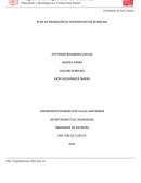 PLAN DE MIGRACION DE SERVIREPUESTOS REMOLINA