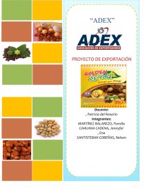 PROYECTO EXPORTACION SNACK CRASH S.A.C. Página 1