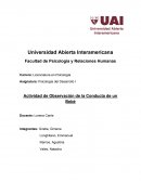 Actividad de Observación de la Conducta de un Bebé