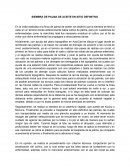 Siembra de palma en sitio definitivo