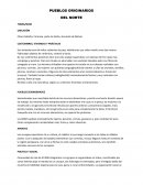 PUEBLOS ORIGINARIOS DEL NORTE