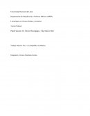 Trabajo Práctico Nro 1 ( La República de Platón)