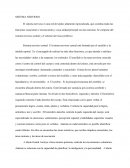 Sistema Nervioso. Sistema nervioso central