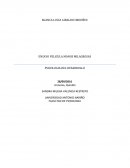 ENSAYO PELICULA MANOS MILAGROSAS