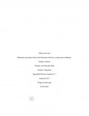 Relacionar principios básicos del fenómeno eléctrico a situaciones cotidianas