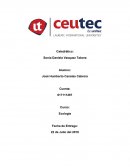 Cuál es la diferencia entre un ecólogo y un ecologista?