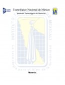 Medidas de Rendimiento Sistemas de Manufactura