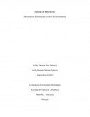 Informe de laboratorio Mecanismos de transporte a través de la membrana