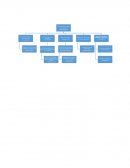 Procesos productivos. Áreas comerciales