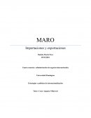 MARO Estrategias y políticas de internacionalización