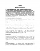 TEMA 3 - BASES DEL CURRICULO