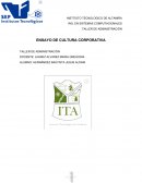 Ensayo cultura corporativa