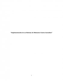Implementanción de un sistema de hidrantes contra siniestros. Página 1