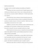 Hospitales magneticos