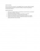 PLAN ANUAL DE TRABAJO DOCENTE