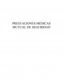 Prestaciones medicas mutual de seguridad