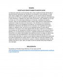 VEGETALES GENETICAMENTE MODIFICADOS