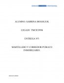 MARTILLERO Y CORREDOR PUBLICO INMOBILIARIO