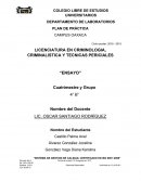 El proceso de justicia penal