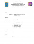 EFECTO DE LOS DETERGENTES EN LA FAUNA ACUÁTICA