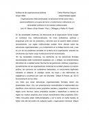 Análisis de las organizaciones públicas