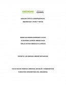 ANALISIS CRÍTICO JURISPRUDENCIAL SENTENCIAS T-570/92 Y T207/95