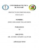 PROYECTO DE INMUNOLOGIA CELULAS T