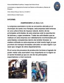 INFORME: ASERRADERO LA ISLA, S.A