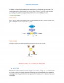 APLICACIONES DE LA ENERGÍA NUCLEAR