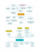 Realizacion de Canvas y estrategia 4 p