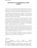 IMPORTANCIA DE LA INGENIERÍA EN EL MEDIO AMBIENTE
