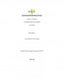 Tabla analítica de contenidos sobre el servicio y el servidor