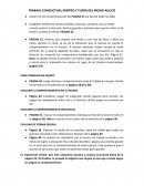 TRABAJO CONDUCTUAL DENTRO Y FUERA DEL MEDIO AULICO