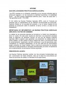 IMPORTANCIA DE LA IMPLEMENTACION DE LAS BUENAS PRACTICAS AGRICOLAS EN CANNABIS