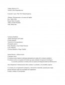 Trabajo Práctico Nº 2 Teorías Crítico Reproductivas