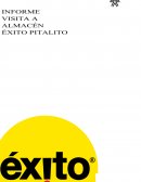 INFORME VISITA ALMACENES ÉXITO
