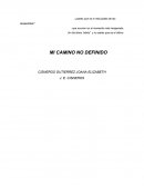 MI CAMINO NO DEFINIDO