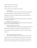 MODELO DE BRIEF DE INVESTIGACIÓN