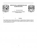 EFECTO DE LA ADICION DE Fe EN BLANCOS DE Be
