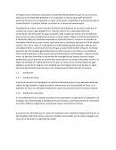 El Programa de las Naciones Unidas para el Desarrollo (PNUD)