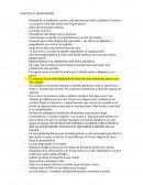 Planeta ZARA. PRACTICA 2 (SOCIOLOGÍA)