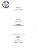 EL MILAGRO DEL BOTE SEA RAY