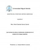 LAS NORMAS DE CULTURA Y TENDENCIAS Y TENDENCIAS EN EL EMPLEO DE LA LENGUA ESPAÑOLA