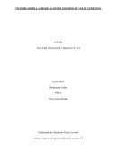 INFORME SOBRE LA OBSERVACIÓN DE PARTIDOS DE VOLÉY FEMENINO