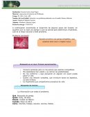 Solución a un problema planteado con el modelo Parnes-Osborne